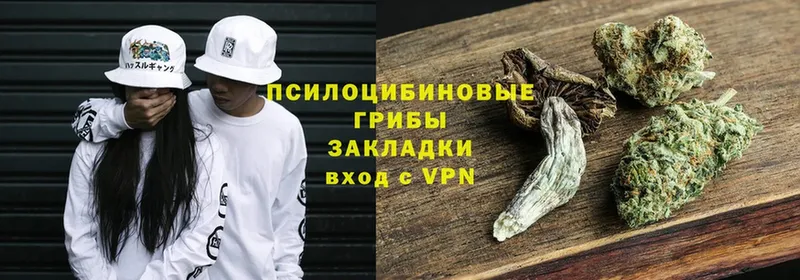 купить   hydra ONION  Псилоцибиновые грибы мицелий  Уржум 